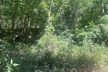 000 Buford, Noel MO, 64854 land for sale