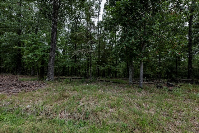 Listing photo 2 for 5.32ACRES Deer Meadow Dr, Garfield AR 72732