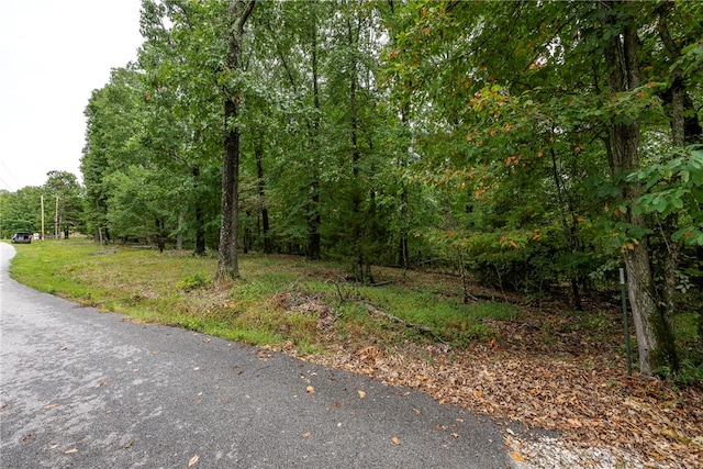 Listing photo 3 for 5.32ACRES Deer Meadow Dr, Garfield AR 72732