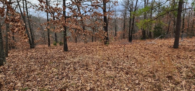 view of local wilderness