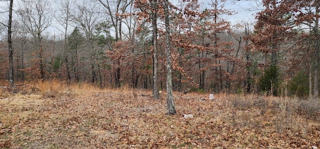 view of local wilderness