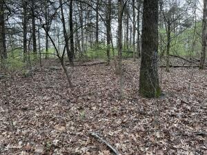 Fawn Ln, Harrison AR, 72601 land for sale