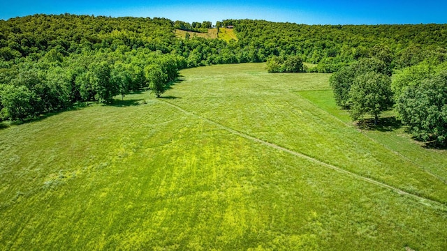 bird's eye view with a rural view