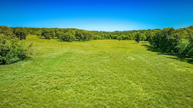 3128 Silver Valley Rd, Harrison, AR 72601 - view of woods