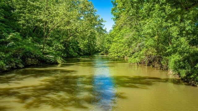 3128 Silver Valley Rd, Harrison, AR 72601 - water view with a forest