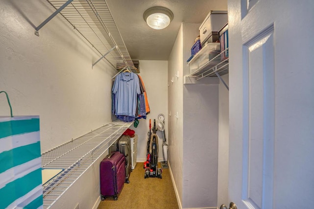 walk in closet with carpet floors