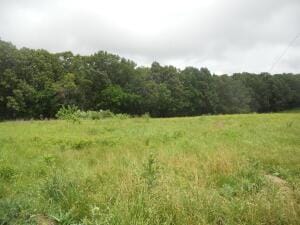 Kimes, Harrison, AR 72601