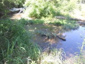 Kimes, Harrison, AR 72601