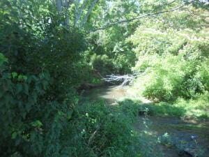 Kimes, Harrison, AR 72601