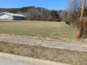 Listing photo 3 for Court St, Jasper AR 72641