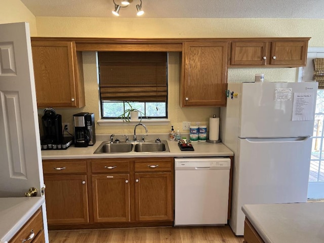 kitchen featuring light hardwood / wood-style floors, white appliances, and sink