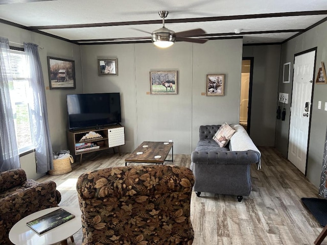 living room featuring wood-type flooring and ceiling fan