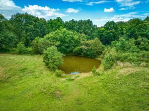 2403 Mountain Vista Rd, Harrison, AR 72601 - photo 71