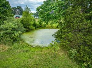 2403 Mountain Vista Rd, Harrison, AR 72601 - photo 72