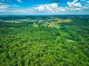 2403 Mountain Vista Rd, Harrison, AR 72601 - photo 76