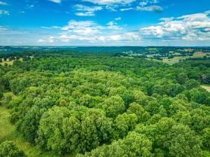 2403 Mountain Vista Rd, Harrison, AR 72601 - photo 78