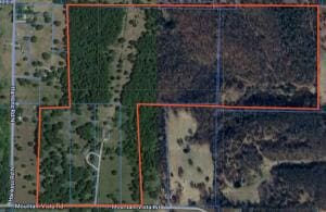 2403 Mountain Vista Rd, Harrison, AR 72601 - photo 79