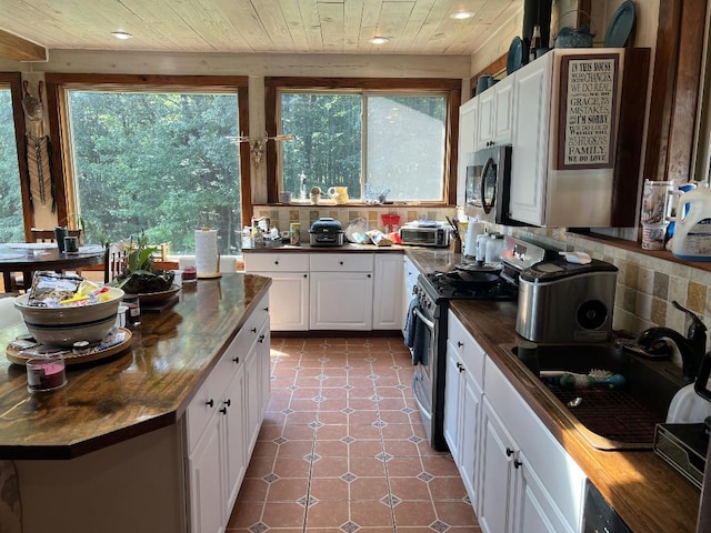 kitchen featuring white cabinets, plenty of natural light, stainless steel appliances, and wooden counters