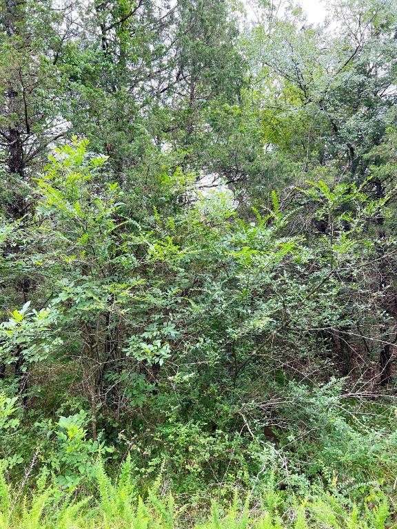 TBD E Cedar Ln, Diamond City AR, 72644 land for sale