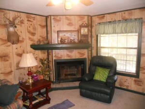 living room with ceiling fan and plenty of natural light