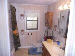 bathroom with toilet, walk in shower, and vanity