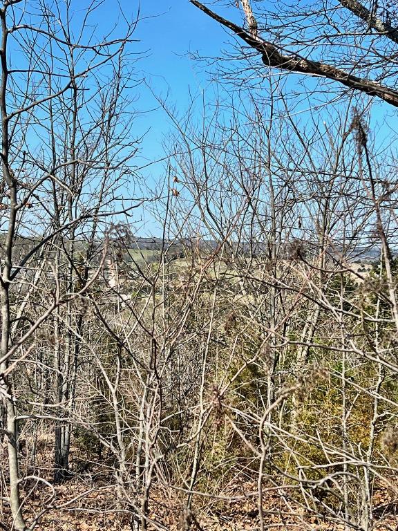 Listing photo 2 for TBD Eagle View Ct, Lead Hill AR 72644