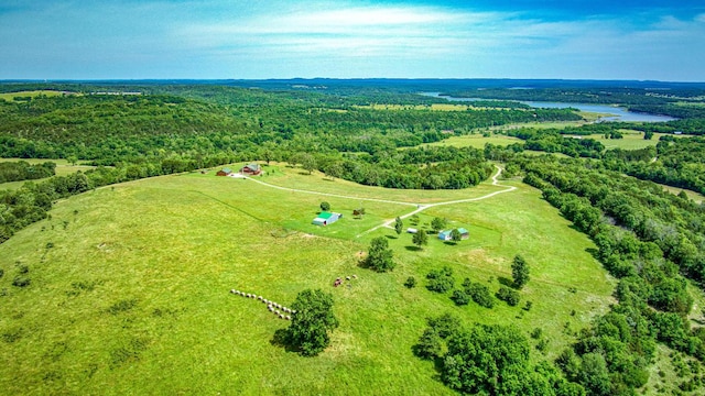 15776 Cedar Grove Rd, Lead Hill, AR 72644 - photo 56