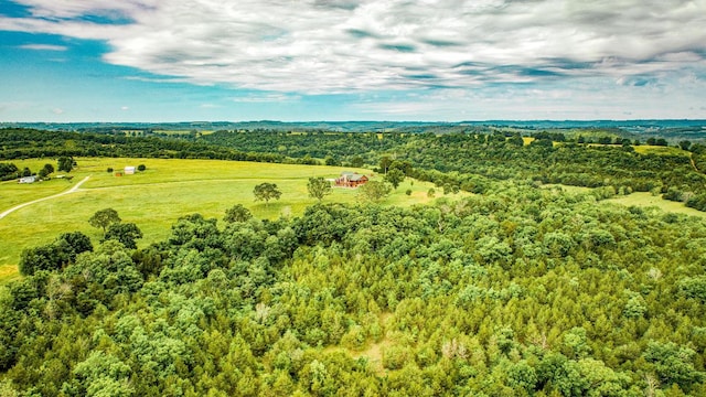 15776 Cedar Grove Rd, Lead Hill, AR 72644 - photo 49