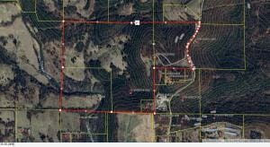 2811 N Harmon Rd, Harrison, AR 72601 - photo 55