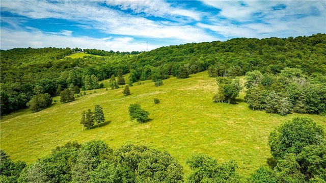 2811 N Harmon Rd, Harrison, AR 72601 - photo 5
