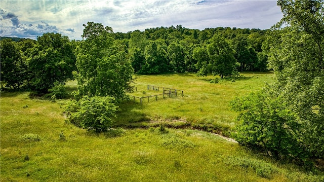 view of local wilderness featuring a rural view