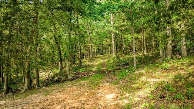 2811 N Harmon Rd, Harrison, AR 72601 - photo 11