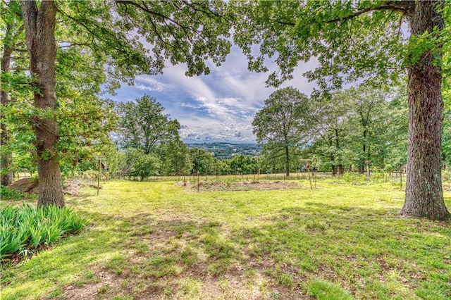 2811 N Harmon Rd, Harrison, AR 72601 - photo 46