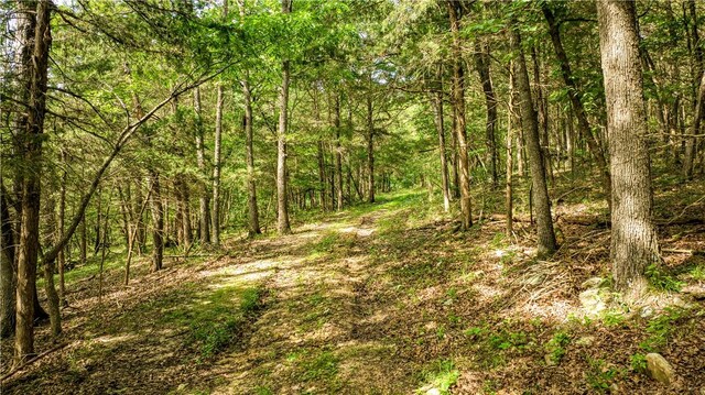 2811 N Harmon Rd, Harrison, AR 72601 - photo 12