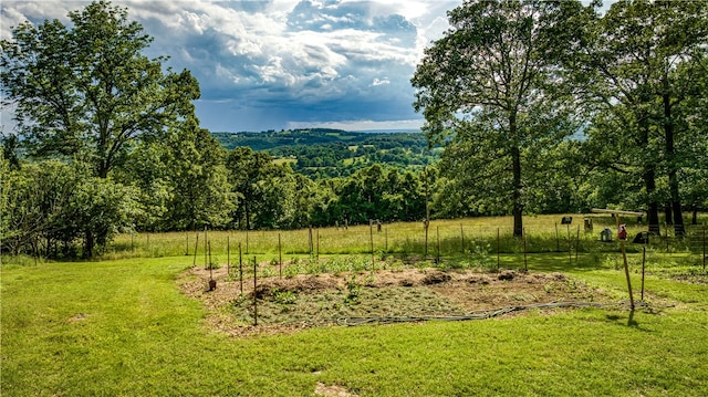 view of yard with a rural view