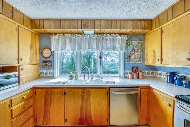 kitchen featuring dishwasher, a textured ceiling, and sink