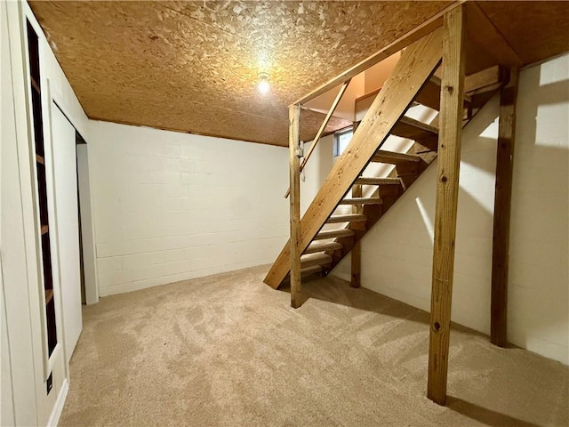 basement featuring carpet flooring