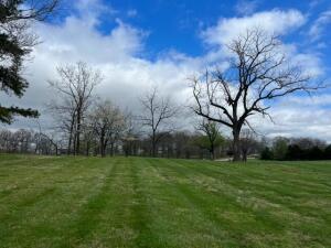 3113 Savannah Dr, Harrison, AR 72601 - photo 3