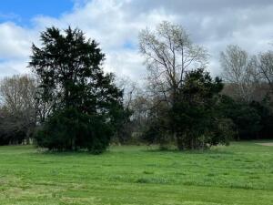 3113 Savannah Dr, Harrison, AR 72601 - photo 7