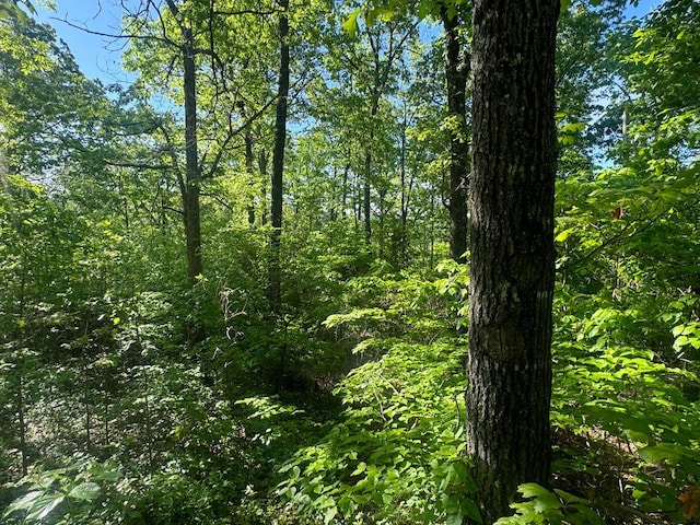 view of local wilderness