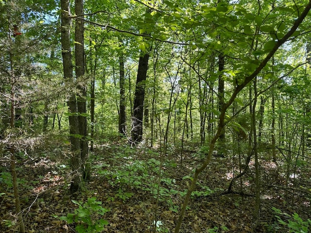 view of local wilderness