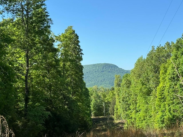 view of mountain feature