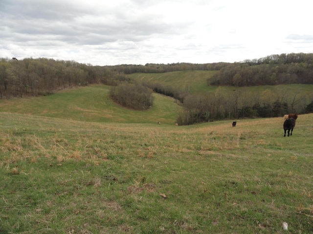 0000 Crochet Dr, Marshall AR, 72650 land for sale