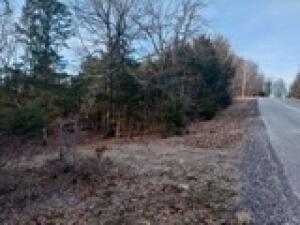 19641 N Stonington Rd, Omaha AR, 72662 land for sale