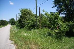 Main St, Lead Hill AR, 72644 land for sale