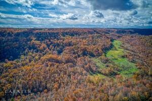 S Terrapin Rd, Harrison, AR 72601 - photo 6