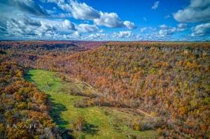 S Terrapin Rd, Harrison, AR 72601 - photo 9