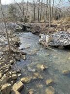 S Terrapin Rd, Harrison, AR 72601 - photo 16