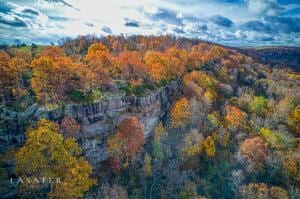 S Terrapin Rd, Harrison, AR 72601 - photo 7