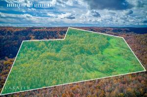 S Terrapin Rd, Harrison, AR 72601 - photo 3